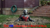 Regarder un Ant-Man(2015) film en streaming