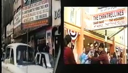 The Wonders - That Thing You Do!