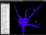 Spiking neuron simulation