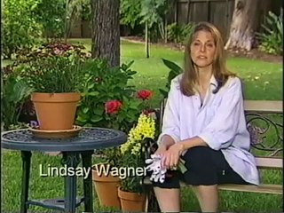 Lindsay Wagner PSA