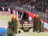 Horse Jumping - Pferde springen