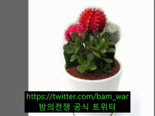 ◁ 밤전 ▷안양핸플 사쿠라 じ  -감만핸플  - の 해운대핸플