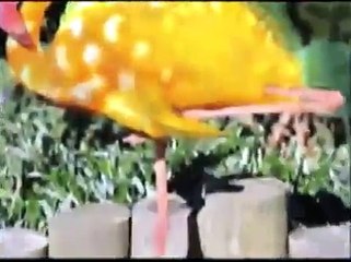 250 animales que no existirían sin la clonacion