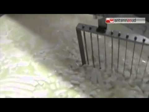 TG 08.07.15 Formaggio e yogurt senza latte, gli allevatori pugliesi dicono No a Roma