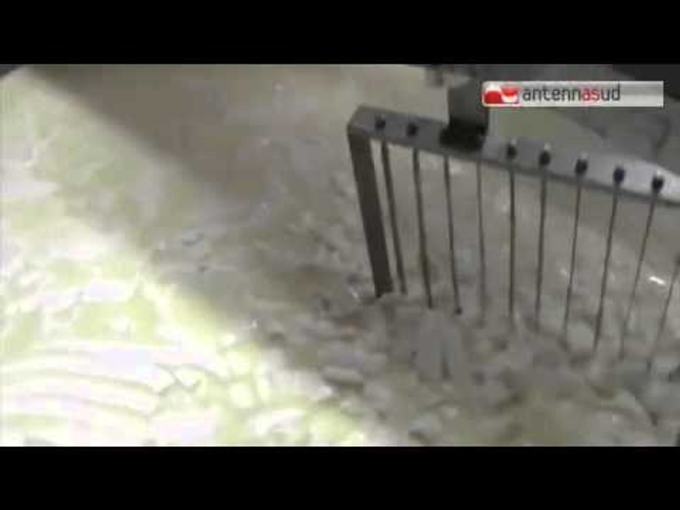 TG 08.07.15 Formaggio e yogurt senza latte, gli allevatori pugliesi dicono "No" a Roma