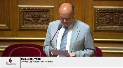 Gestion du bassin Rhône-Méditerranée : " Attention à ne pas entraver le développement de l'activité hydraulique ! "