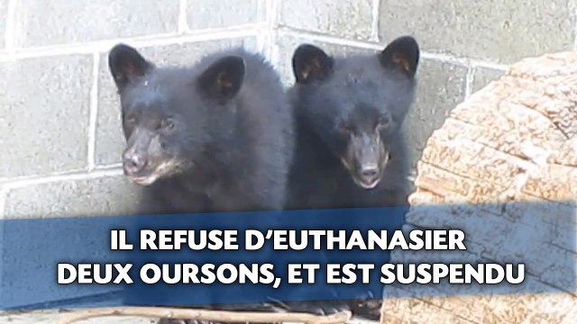 Le garde-chasse sauve deux oursons de l'euthanasie, et est suspendu