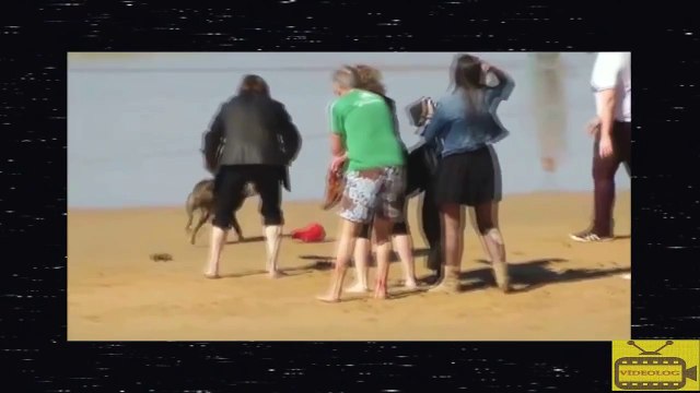 En Korkunç Pitbull Saldırıları - Pitbull Dog attacks