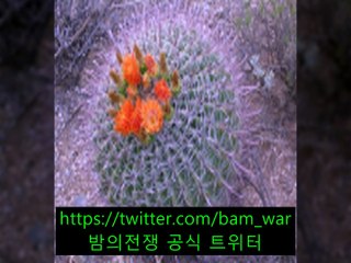 수원핸플 TOP《 밤워 》《명동핸플 ぺ 장한평핸플》