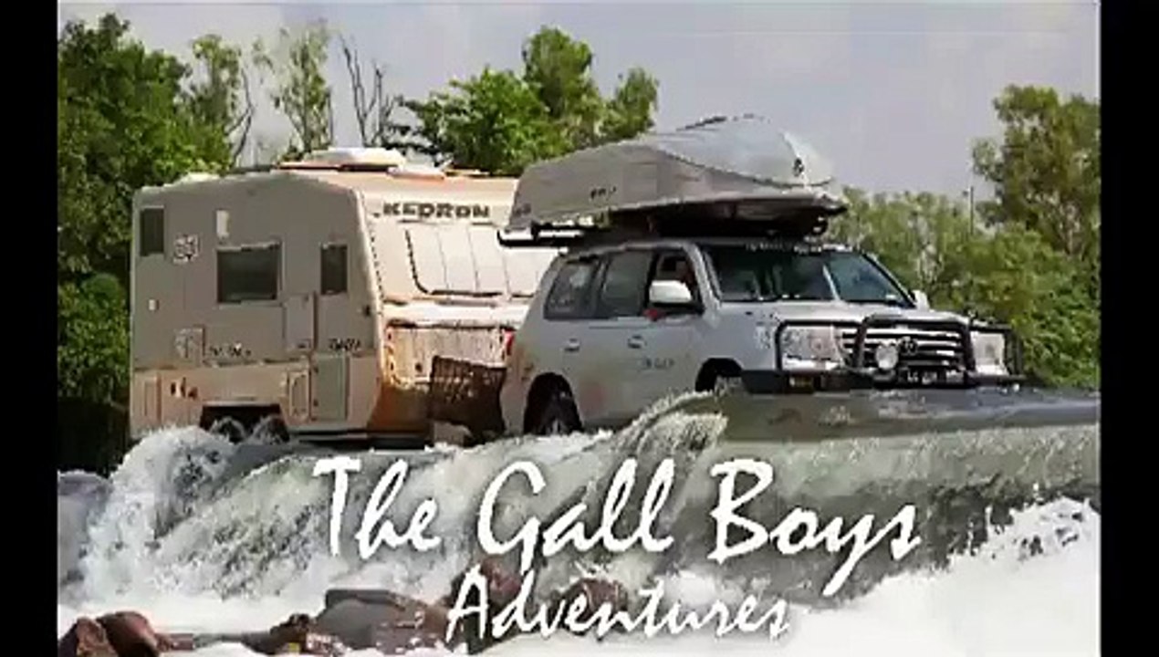 WILD AUSTRALIAN CROCODILES FEEDING - GALL BOYS