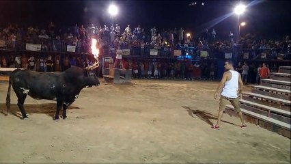 Fail- Why You Shouldn't Provoke A Bull In Spain!