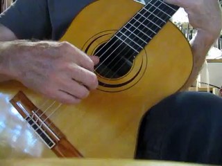 guitare françois grimaux année 2006