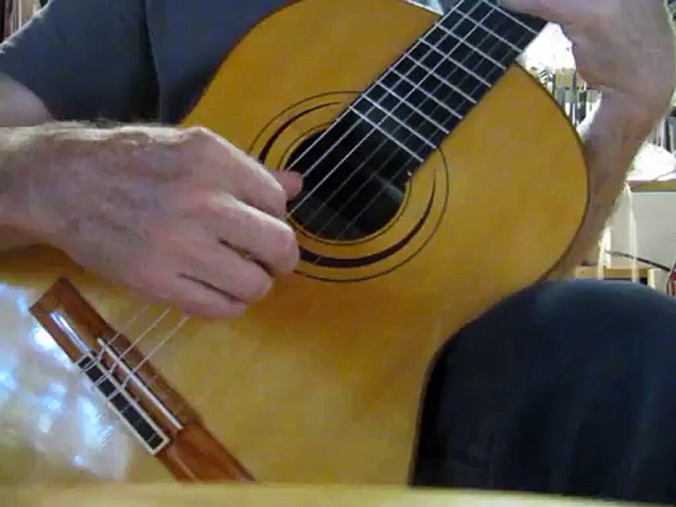 guitare françois grimaux année 2006