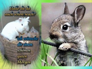 Guten Morgen