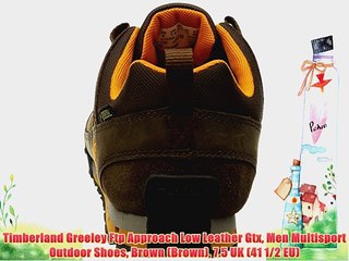 Timberland Greeley Ftp Approach Low Leather Gtx Men Multisport Outdoor Shoes Brown (Brown)