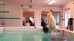 Storm och Pluto simmar och dyker i Specialistdjursjukhusets pool!