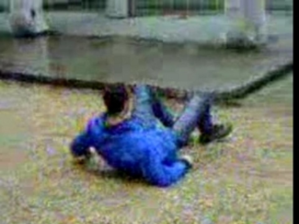 manege en folie