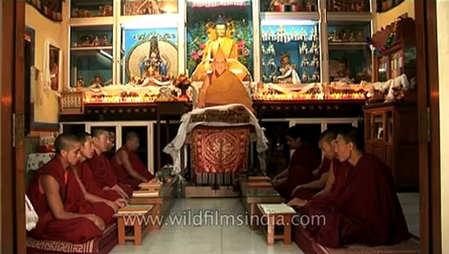 Tibetan monks tantric overtone Chant in Delhi