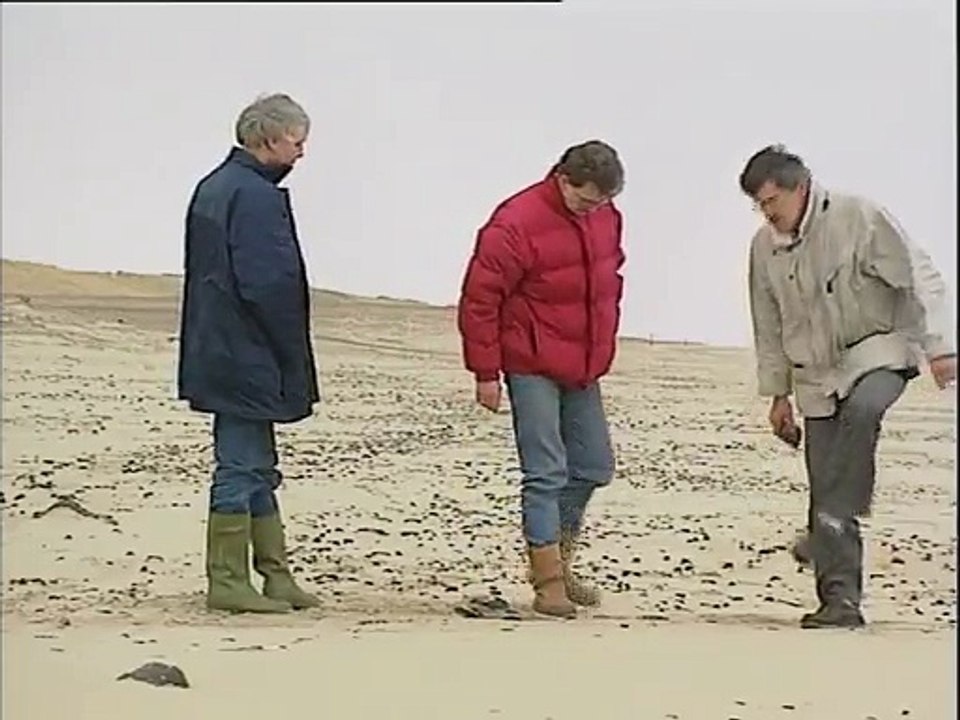 Olievervuiling op stranden Texel - 1992