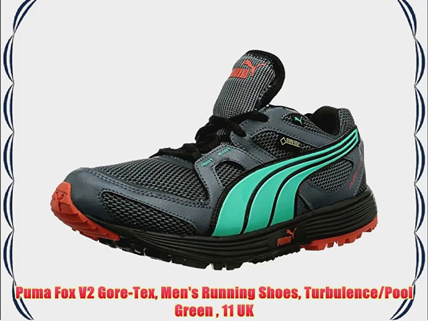 Puma Fox V2 Gore-Tex Men's Running Shoes Turbulence/Pool Green 11 UK -  video Dailymotion