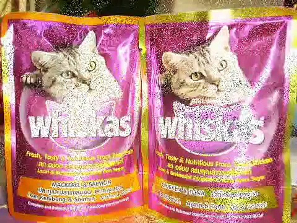 whiskas advertisement(Timothy Dalton Catunay)