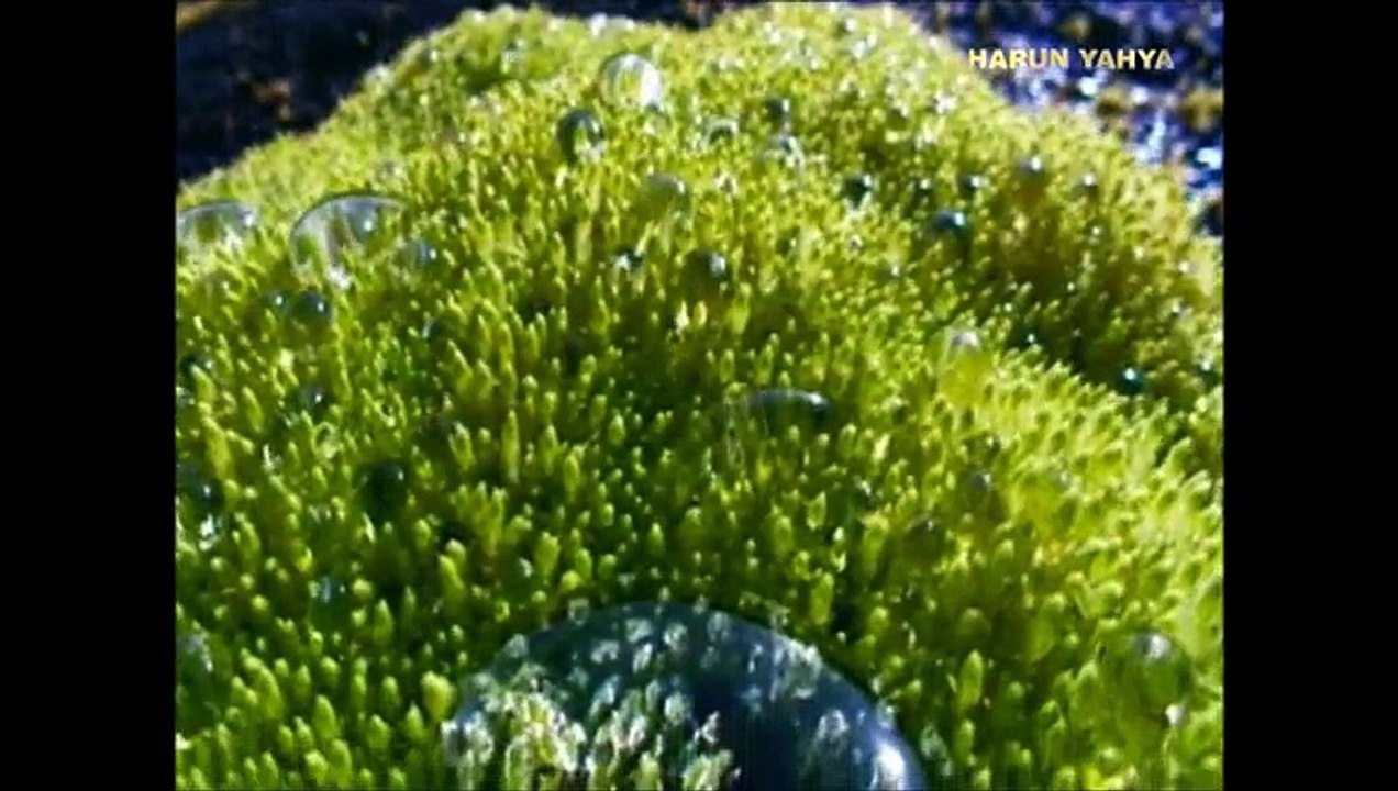 ACHIEVING GREATER DEPTH IN THE SIGNS LEADING TO FAITH