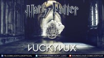 Harry Potter - Hedwig's Theme (LuckyLux Remix) - Electro/ Melbourne/  Minimal/ Dutch