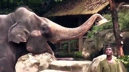 Animal Planet | Discovery Channel | Wild Life Documentary 2015 | National Geographic Wildl