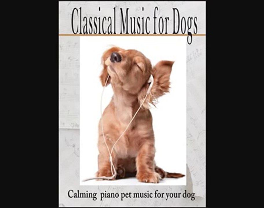 Classical Music for Dogs - Calming Piano Pet Music for your Dog