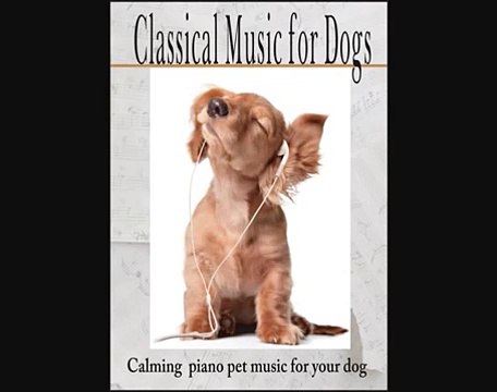 Classical Music for Dogs - Calming Piano Pet Music for your Dog