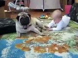 [Funny Dog] Crazy fight between baby and dog