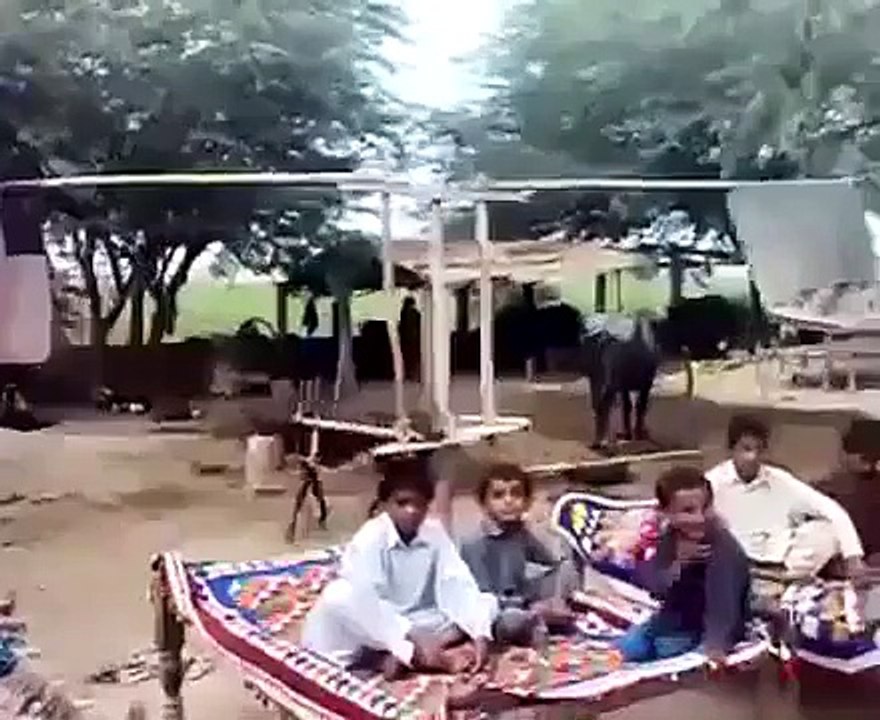 Desi fan