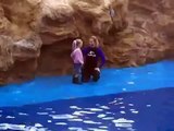 Sea World San Diego - Fun with Dolly the dolphin
