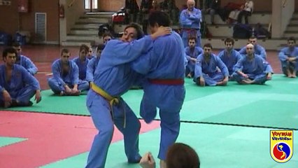 VOVINAM VIET VO DAO - Italiano