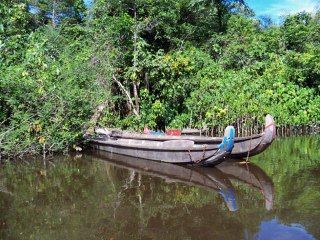 fleuves et criques en Guyane