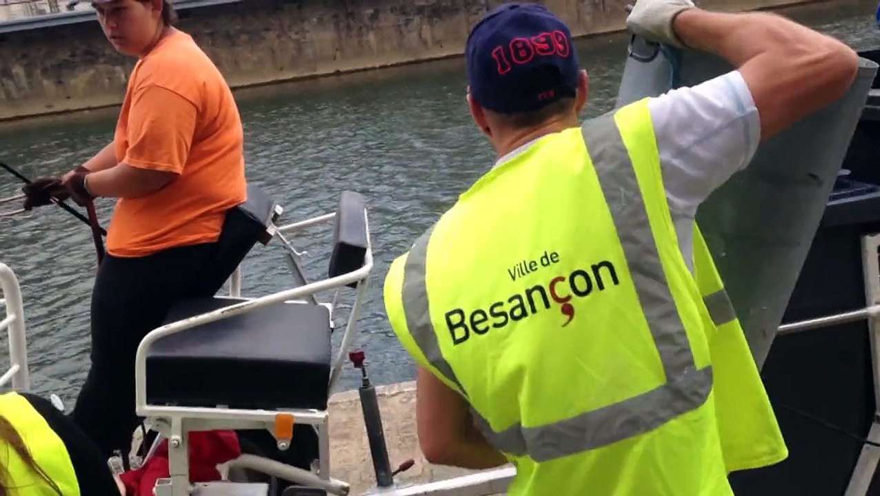 Besançon : toujours autant de succès pour le cheval poubelle