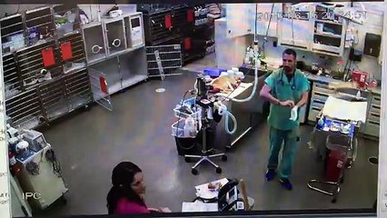 Un vétérinaire giflé par son mauvais karma