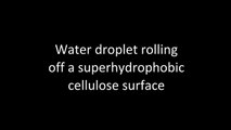 Water droplets rolling off a superhydrophobic cellulose surface