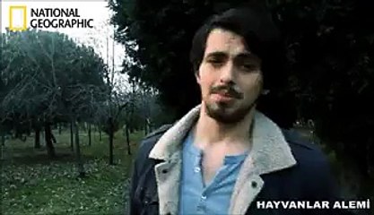 türkiyede hayvan belgeseli- ali tural tv