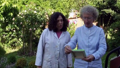 Le Corbusier de Pessac