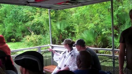 Swamp and Bayou Sightseeing Tour