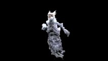 Kate Moss Hologram Video from Alexander McQueen Fall/Winter 2006 Fashion show