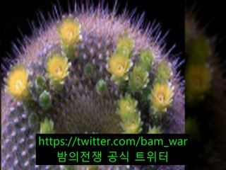 『용인핸플 만수르』 ロ 지축핸플｟ 밤워 ｠ ド 영덕핸플