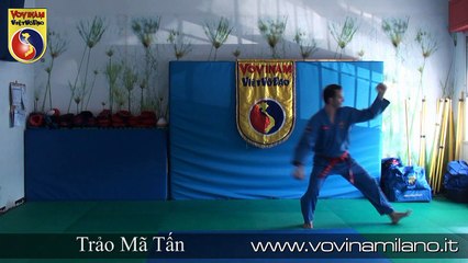 Vovinam - Bo Tan Phap - Posizioni