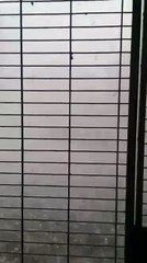 Extreme Uwetter in der Steiermark und Kärnten !