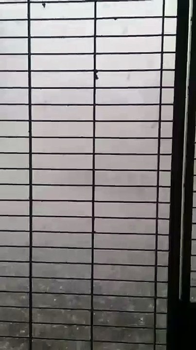 Extreme Uwetter in der Steiermark und Kärnten !