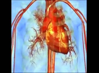 Tansiyon Ölçümü - Doğru Kan Basıncı Ölçümü