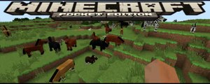 Minecraft PE 0.11.2 _Download Apk_ Caballos Añadidos [Review]
