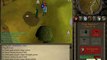X Maul3d X LURING and PKING Vid (Old Wildy) [RS]