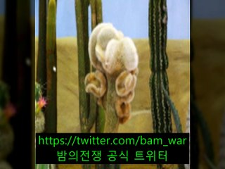 평택핸플 라이〔 밤워 〕《강서핸플 ギ 소래핸플》